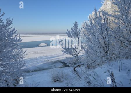 Gelidi alberi sulla riva del fiume in inverno sera Foto Stock