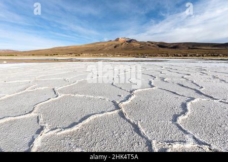 Le saline vicino a Coqueza, una piccola cittadina vicino al Vulcano Thunupa, Salar de Uyuni, Provincia Daniel Campos, Bolivia, Sud America Foto Stock