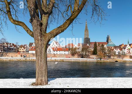 Vista sul Danubio fino alla Cattedrale di Ulm, Ulm, Alpi Svevi, Baden-Wurttemberg, Germania, Europa Foto Stock