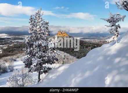 Hohenzollern Castello in inverno, Alpi Sveve, Baden-Wurttemberg, Germania, Europa Foto Stock