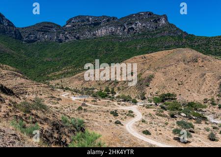 Scogliere di roccia verde, Salalah, Oman, Medio Oriente Foto Stock