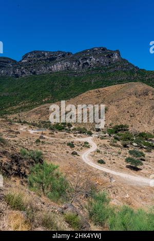 Scogliere di roccia verde, Salalah, Oman, Medio Oriente Foto Stock
