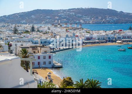 Vista elevata dei mulini di farina e della città, Mykonos Town, Mykonos, Isole Cicladi, Isole Greche, Mar Egeo, Grecia, Europa Foto Stock