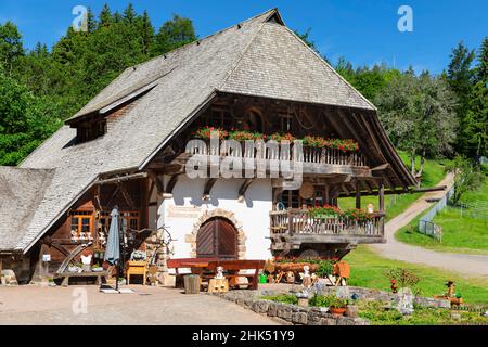 Museo dei Mulini di Tannenmuhle, Grafenhausen, Foresta Nera, Baden-Wurttemberg, Germania, Europa Foto Stock