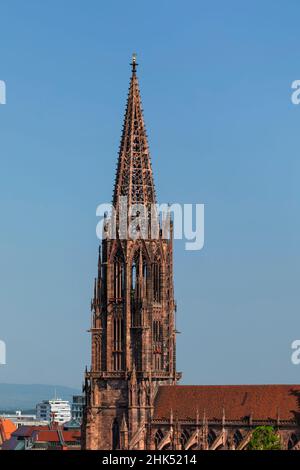 Cattedrale di Friburgo, Friburgo in Breisgau, Foresta Nera, Baden-Wurttemberg, Germania, Europa Foto Stock