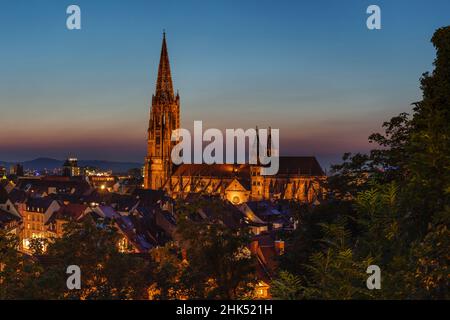 Cattedrale di Friburgo, Friburgo in Breisgau, Foresta Nera, Baden-Wurttemberg, Germania, Europa Foto Stock