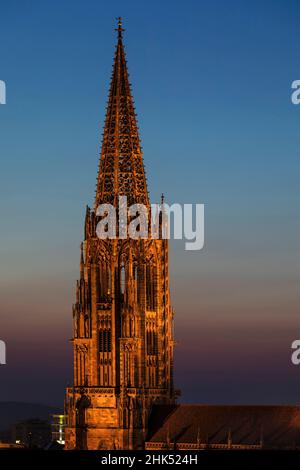 Cattedrale di Friburgo, Friburgo in Breisgau, Foresta Nera, Baden-Wurttemberg, Germania, Europa Foto Stock