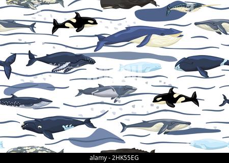 Avvistamenti di balene senza giunture su sfondo bianco con onde e macchie. Modello di personaggi cartoni animati dell'oceano in stile scandinavo per i bambini. Texture Illustrazione Vettoriale