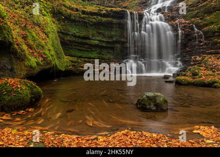 Cascata della forza di Scaleber nel parco nazionale di Yorkshire Dales, North Yorkshire, Inghilterra, Regno Unito, Europa Foto Stock