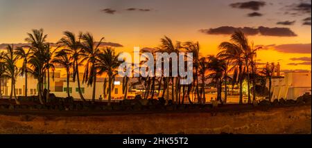 Vista del tramonto dorato attraverso le palme, Playa Blanca, Lanzarote, Isole Canarie, Spagna, Atlantico, Europa Foto Stock