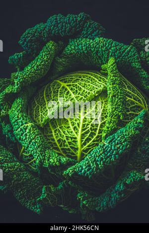 Cavolo savoy intero su sfondo nero, verticale Foto Stock