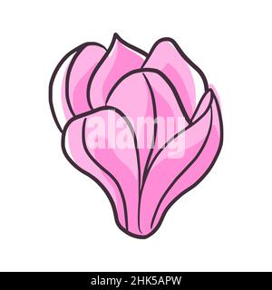 Bella magnolia giapponese rosa isolato su sfondo bianco. Germoglio floreale primavera in stile linea doodle per qualsiasi scopo. Illustrazione vettoriale. Illustrazione Vettoriale