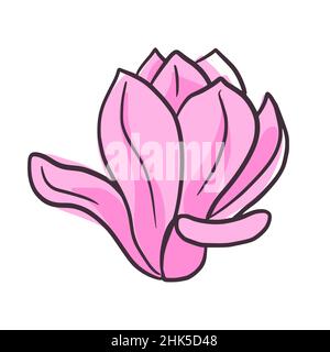 Bella magnolia giapponese rosa isolato su sfondo bianco. Germoglio floreale primavera in stile doodle per qualsiasi scopo. Illustrazione vettoriale. Illustrazione Vettoriale