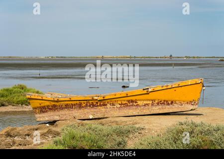 Vecchie barche da pesca arenate sulla riva del Delta del Ebro Foto Stock