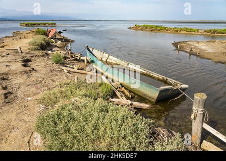 Vecchie barche da pesca arenate sulla riva del Delta del Ebro Foto Stock