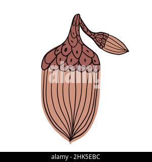 Cartoon acorn marrone isolato su sfondo bianco. Pianta di quercia di disegno nello stile di doodle per tutto purpose.Vector illustrazione. Illustrazione Vettoriale