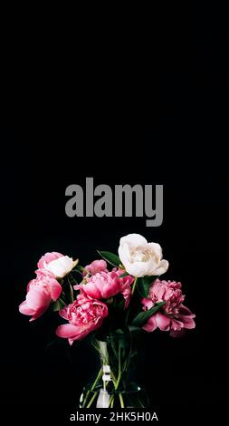 Bouquet di peonie rosa e bianca in vaso di vetro su sfondo nero con spazio copia banner verticale. Design a carte floreali. Messa a fuoco selettiva Foto Stock