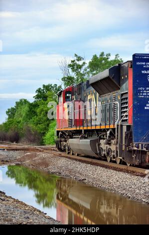 Bartlett, Illinois, Stati Uniti. Mentre si rifletteva parzialmente nell'acqua piovana, una locomotiva ferroviaria nazionale canadese conduce un treno di merci. Foto Stock