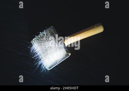 Pettine per gatti con un mazzo di capelli. Spazzola per la cura dei capelli con setole metalliche. Sfondo nero, messa a fuoco selettiva. Foto Stock