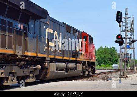 Bartlett, Illinois, Stati Uniti. Una singola locomotiva Canadian National Railway conduce un treno merci attraverso la periferia nord-occidentale di Chicago. Foto Stock