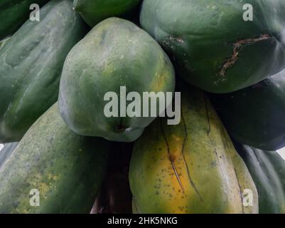 Papaya frutti di Papaya albero in giardino in Indonesia natura fresco verde papaya su albero con frutta Foto Stock