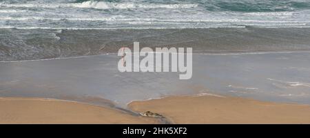 Un'immagine panoramica della piccola figura di persona che corre lungo la costa su una ventosa Fistral Beach a Newquay in Cornovaglia. Foto Stock