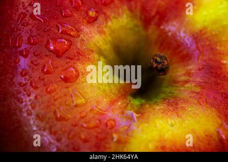 Primo piano mela rossa e verde, sfondo colorato di frutta fresca Foto Stock