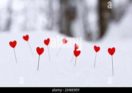 Amore cuori su un pendio di neve collina sullo sfondo della foresta invernale. Biglietto d'auguri, romantico San Valentino Foto Stock