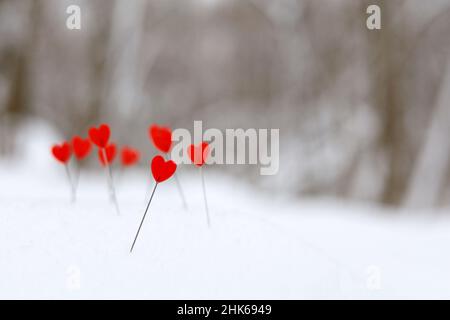 Amore cuori su un pendio di neve collina sullo sfondo della foresta invernale. Biglietto d'auguri, romantico San Valentino Foto Stock