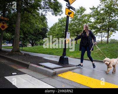 Bellevue, WA USA - circa Giugno 2021: Vista di una donna caucasica che preme il pulsante del crosswalk mentre fuori su una passeggiata con il suo cane nella zona del parco del centro Foto Stock