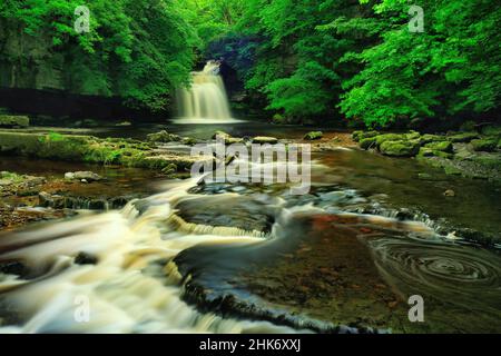 Cascate di Cauldron, Yorkshire Dales Foto Stock