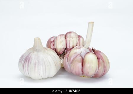 Tre teste di aglio (Allium sativum), con una ancora non pelata e l'altra due leggermente pelata, ogni chiodo di garofano può essere visto in tonalità rosate sui bordi un Foto Stock