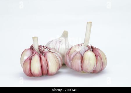 Tre teste di aglio (Allium sativum), con una ancora non pelata e l'altra due leggermente pelata, ogni chiodo di garofano può essere visto in tonalità rosate sui bordi un Foto Stock