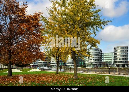 Garden of Memories con cinque Boats Office building, Inner Harbour, Duisburg, Ruhr Area, Renania settentrionale-Vestfalia, Germania Foto Stock