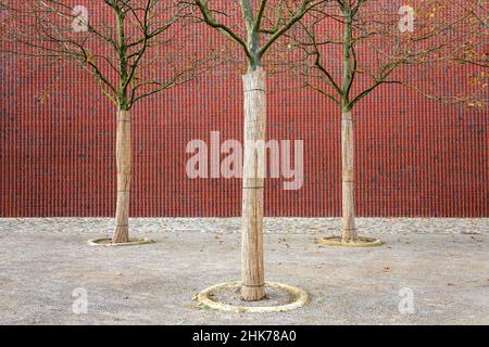 Facciata in mattoni con alberi Museo Kueppersmuehle, abbreviato MKM, Porto interno, Duisburg, Renania settentrionale-Vestfalia, Germania Foto Stock