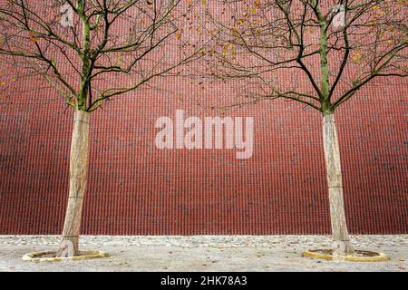 Facciata in mattoni con alberi Museo Kueppersmuehle, abbreviato MKM, Porto interno, Duisburg, Renania settentrionale-Vestfalia, Germania Foto Stock