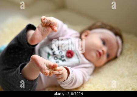 Neonato, bambino, ragazza, 5 mesi, Baden-Wuerttemberg, Germania Foto Stock