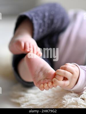 Neonato, bambino, ragazza, 5 mesi, Baden-Wuerttemberg, Germania Foto Stock