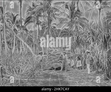 Ispirato da Fijian Sugar Field, Mango [Mago], Loading the cane, studio Burton Brothers, studio di fotografia, Giugno 1884, Dunedin, fotografia in bianco e nero, lavoratori in un campo di zucchero sull'isola Fijiana di Mago. Un carro carico di canna da zucchero si trova su binari di legno, Reimagined by Artotop. L'arte classica reinventata con un tocco moderno. Design di calda e allegra luminosità e di raggi di luce. La fotografia si ispira al surrealismo e al futurismo, abbracciando l'energia dinamica della tecnologia moderna, del movimento, della velocità e rivoluzionando la cultura Foto Stock