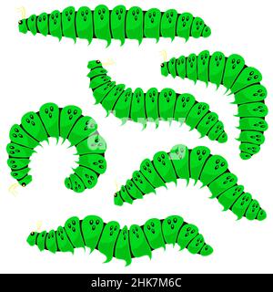 Cartoon verde Caterpillars isolato su sfondo bianco. Insetti estivi carini. Piccolo Maggot Move. Ciclo di vita delle farfalle Illustrazione Vettoriale