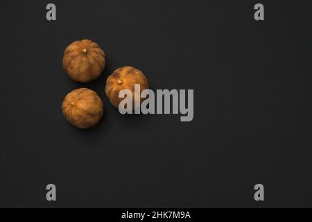 Loomi organici essiccati al sole o Black Lime, Limone Nero, Limone Omani su sfondo nero. Cucina mediorientale Foto Stock