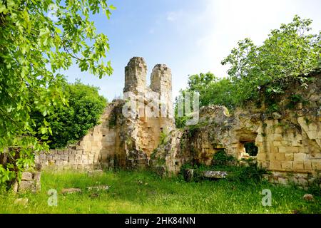 Antiche grotte scavate nella roccia tufo e utilizzate per l'abitazione umana in tempi antichi. Parco archeologico di Città del Tufo. Sorano, Sovana, Toscana, Italia. Foto Stock