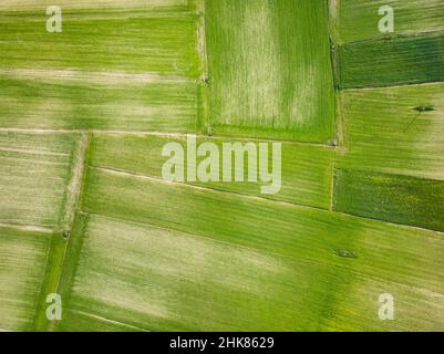 Veduta aerea dall'alto di piano Grande, grande altopiano carsico dei Monti Sibillini. Splendidi campi verdi del Parco Nazionale dei Monti Sibillini, Foto Stock