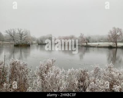 Bella scena invernale fredda e gelida attraverso un lago ghiacciato in un parco Foto Stock