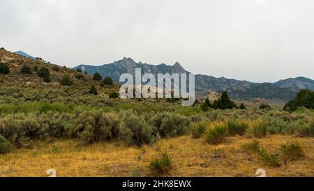 Le firme di Emigrant lungo lo storico sentiero California Trail presso la City of Rocks National Reserve, Idaho Foto Stock