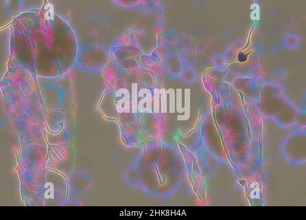 Ispirato dalla spedizione a Nova Zembla, un arcipelago russo nell'Oceano Artico nel 1880, Vista del Mare di Barents con carri di ghiaccio, reinventato da Artotop. L'arte classica reinventata con un tocco moderno. Design di calda e allegra luminosità e di raggi di luce. La fotografia si ispira al surrealismo e al futurismo, abbracciando l'energia dinamica della tecnologia moderna, del movimento, della velocità e rivoluzionando la cultura Foto Stock