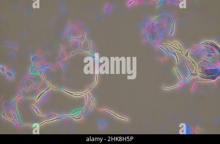 Ispirato dalla spedizione a Nova Zembla, un arcipelago russo nell'Oceano Artico nel 1880, Study, reinventato da Artotop. L'arte classica reinventata con un tocco moderno. Design di calda e allegra luminosità e di raggi di luce. La fotografia si ispira al surrealismo e al futurismo, abbracciando l'energia dinamica della tecnologia moderna, del movimento, della velocità e rivoluzionando la cultura Foto Stock