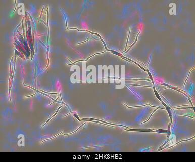 Ispirato dalla spedizione a Nova Zembla, un arcipelago russo nell'Oceano Artico nel 1880, Annotazioni, reinventato da Artotop. L'arte classica reinventata con un tocco moderno. Design di calda e allegra luminosità e di raggi di luce. La fotografia si ispira al surrealismo e al futurismo, abbracciando l'energia dinamica della tecnologia moderna, del movimento, della velocità e rivoluzionando la cultura Foto Stock