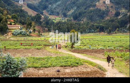 Scena rurale nel Rwand nord-occidentale Foto Stock