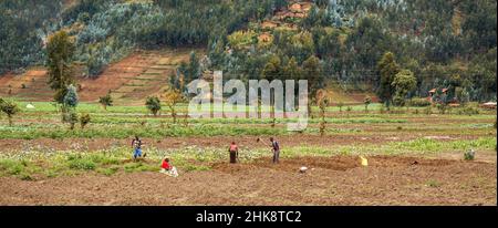 Scena rurale nel Rwand nord-occidentale Foto Stock